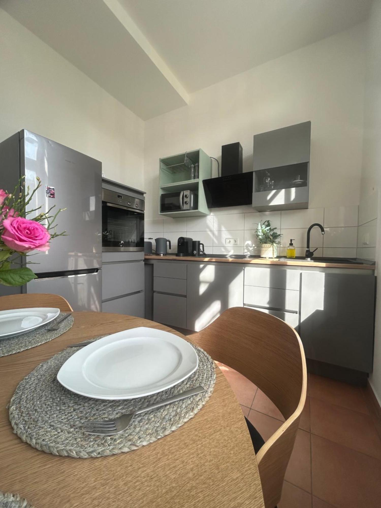 Mintara Komfort Apartment Mit Grill -Terrasse, Sky Und Parkplatz マクデブルク エクステリア 写真